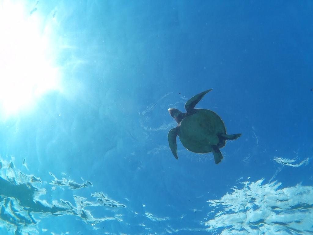 Ocean Villa Honey Miyakojima  Eksteriør bilde